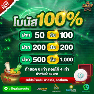 พิเศษ โปร 100%